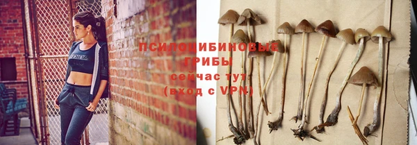 крисы Алексеевка