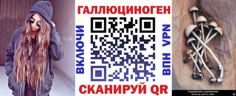 Галлюциногенные грибы Cubensis  Гаврилов Посад 